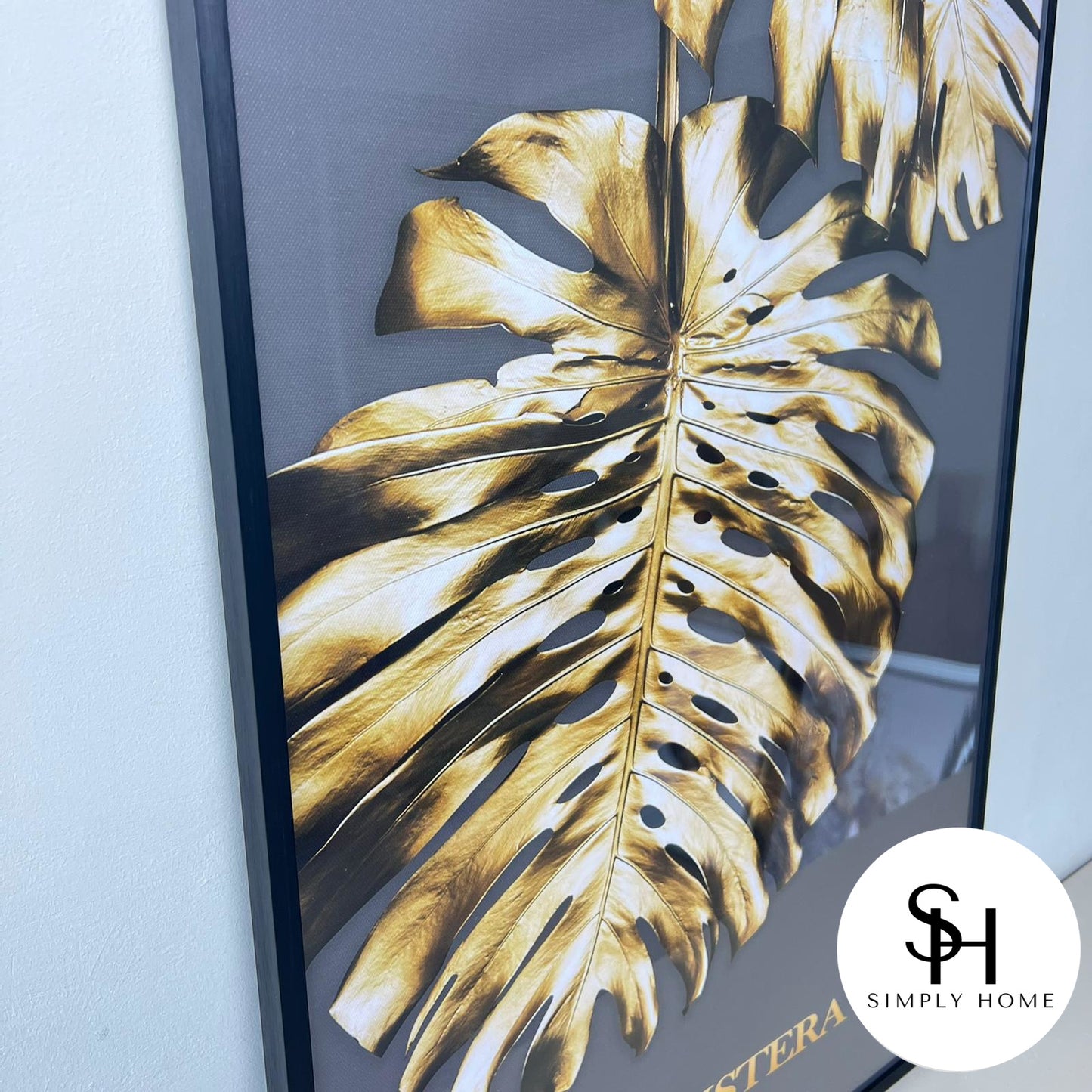 Gold Monstera