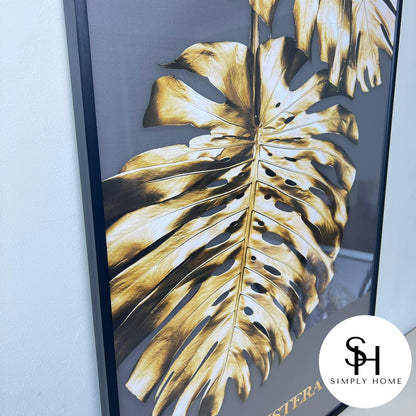 Gold Monstera