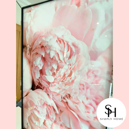 Pink Peony