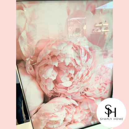 Pink Peony
